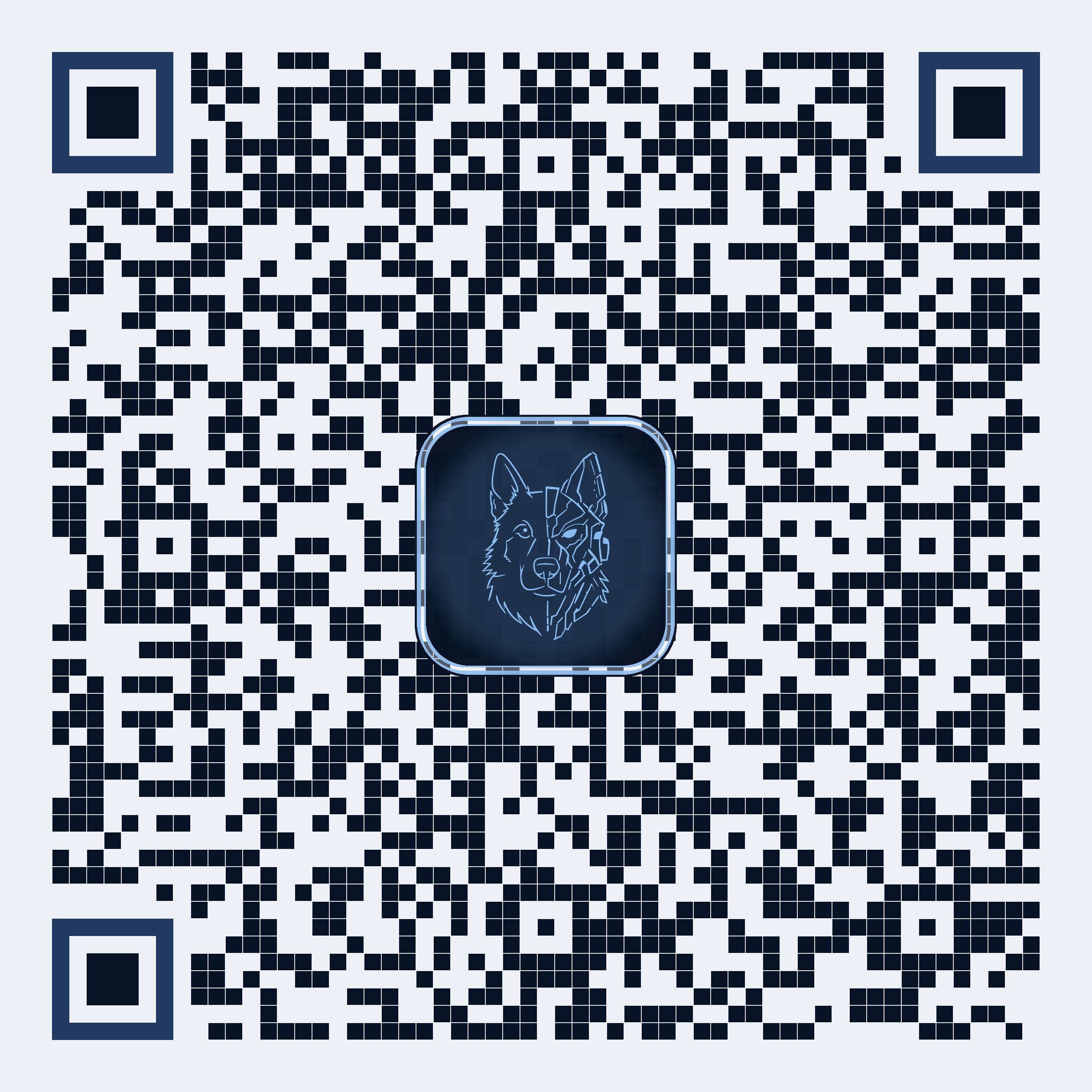 Codee Navy QRCodee
